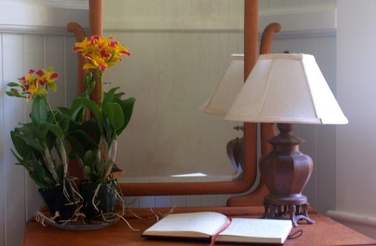 Waipio Wayside, Moon Room, Lamp, mirror and flowers behind an open book